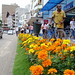 Douglas Forte Photo 13