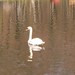 April Ripple Photo 6