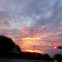 Teresa Weakley Photo 11