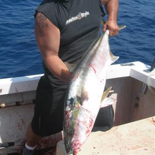 Ray Plummer Photo 6