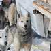 Joanne Mackey Photo 24
