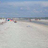 Lisa Reeder Photo 31