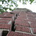 Nick Huber Photo 15