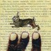 Stephen Finger Photo 15