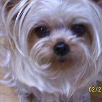Jennie Sumner Photo 3
