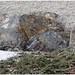 Robin Means Photo 16