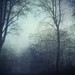 Dirk Moody Photo 9