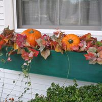 Susan Lester Photo 29