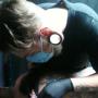 Joshua Campbell Photo 18