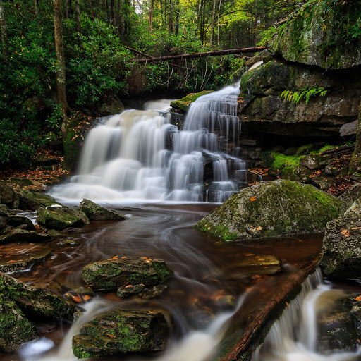 David Trombly Photo 3