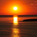 Sun Smith Photo 10