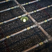 Jeff Arnett Photo 53