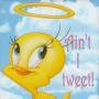 Wanda Ellis Photo 27