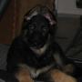 Linda Ames Photo 30