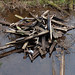 Peter Mcmillan Photo 38