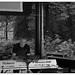 Bert Sharp Photo 9