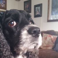 Linda Lowery Photo 18