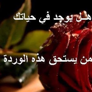 Mohamad Awad Photo 23
