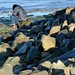 Patrick Emery Photo 20