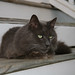 Jay Floyd Photo 31