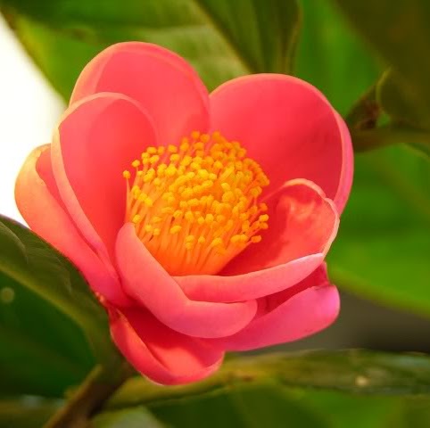 Maithao Nguyen Photo 8