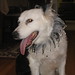 Maxine Blevins Photo 6