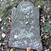 Daniel Andrus Photo 14