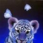 Joyce Graf Photo 20
