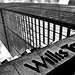 Jason Willis Photo 19