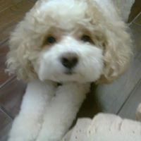 Debbie Leber Photo 6
