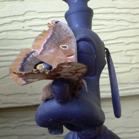 Amy Reed Photo 34