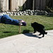 Vicki Floyd Photo 31