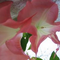 Christina Yoder Photo 19