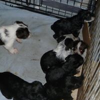 Kathy Workman Photo 5