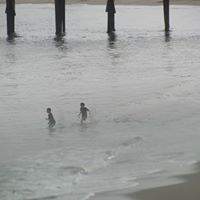 Colleen Bergin Photo 7