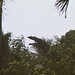 William Phister Photo 3