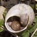 Michelle Shell Photo 17