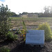 Steven Fields Photo 22