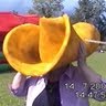 Lorraine Reynolds Photo 12