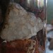 Crystal Cady Photo 13