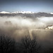 Jan Greco Photo 5