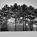 James Greenleaf Photo 31