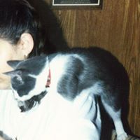 Robin Roderick Photo 7