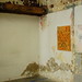 Richard Prince Photo 12