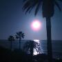 Sarah Roush Photo 23