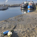 Leigh Stringer Photo 9