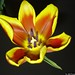 Fernando Reyes Photo 43