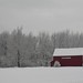 Sandra Snow Photo 8