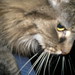 Tasha Brown Photo 36