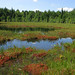 Sandra Pond Photo 25
